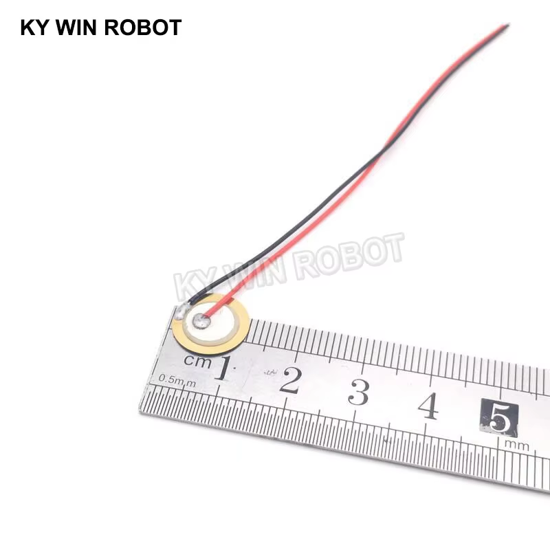 10 Pcs 압전 피에조 세라믹 웨이퍼 플레이트 직경  - Diy Electronics 리뷰 및 가격